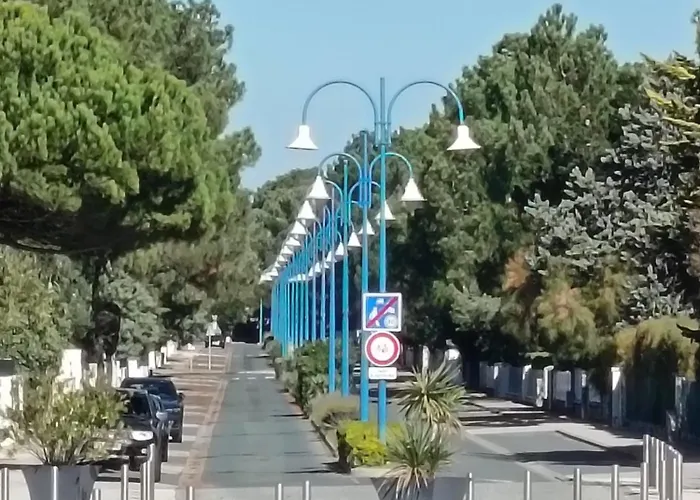 Camping Les Mathes INESS 137 Camping BONNE ANSE 4 étoiles *